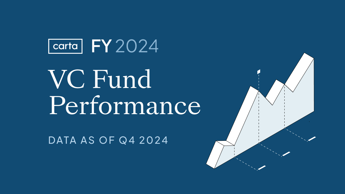 VC Fund Performance: 2024