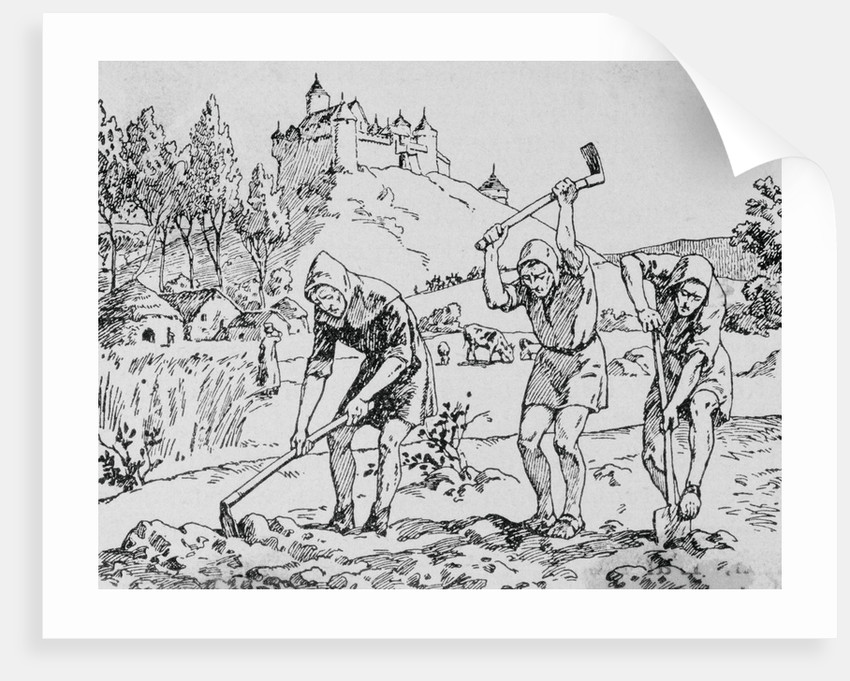 Carta - Ownership Management